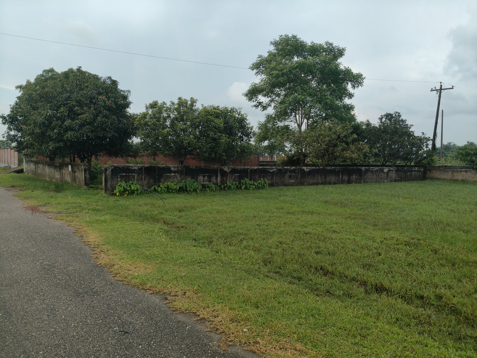 Photo of the 10 katha plot in Purbachal Sector 10